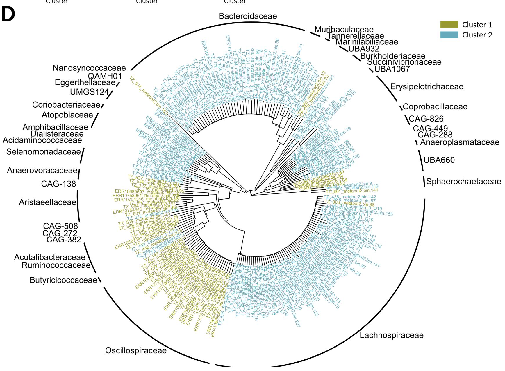 Gut microbiome of wild Tanzanian chimpanzees