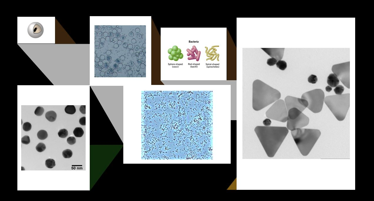Silver nanomaterials